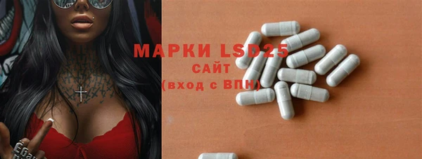 ГАЛЛЮЦИНОГЕННЫЕ ГРИБЫ Володарск