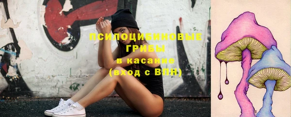 таблы Вязьма